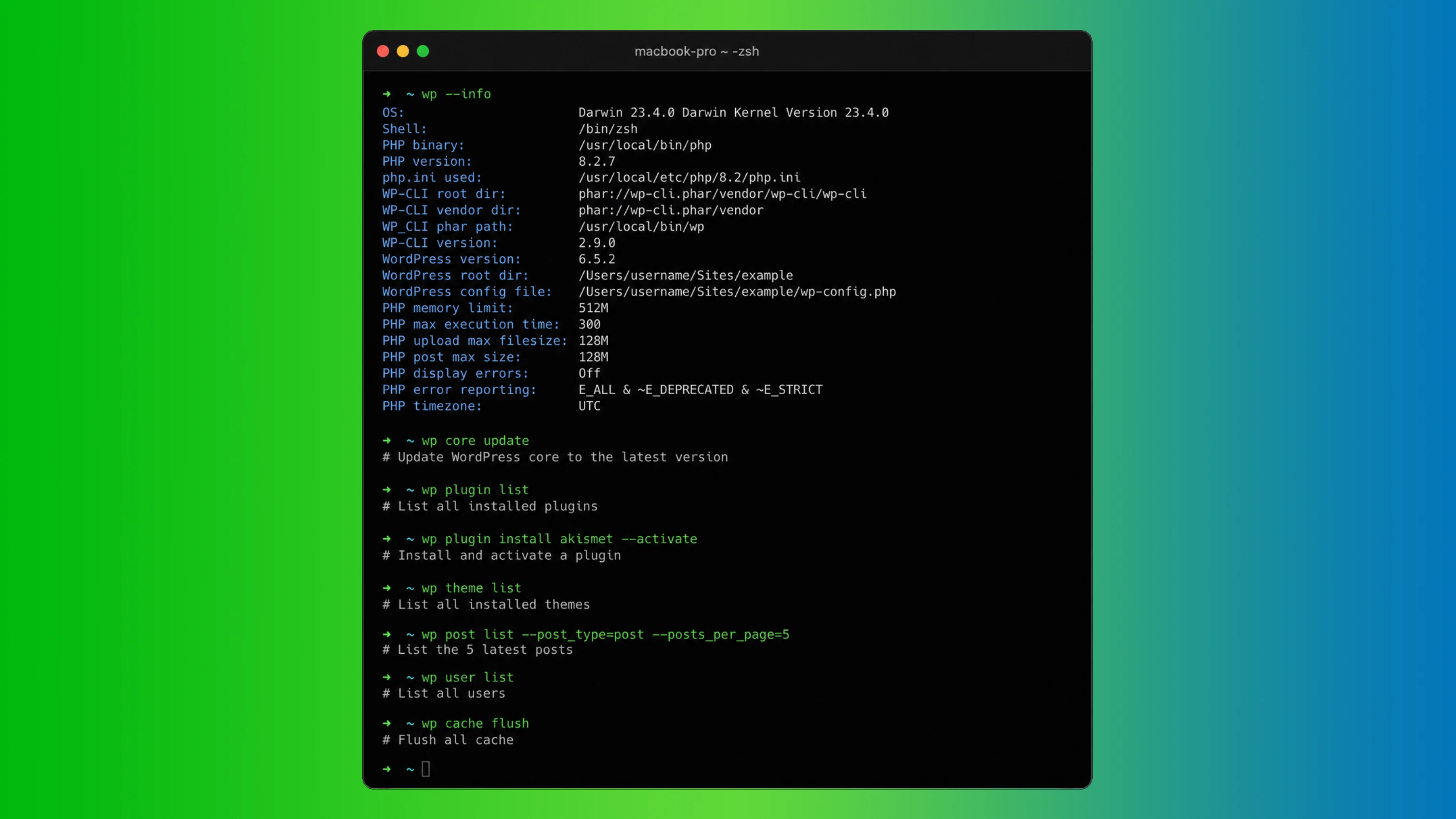How vibe coding changed my WordPress workflow