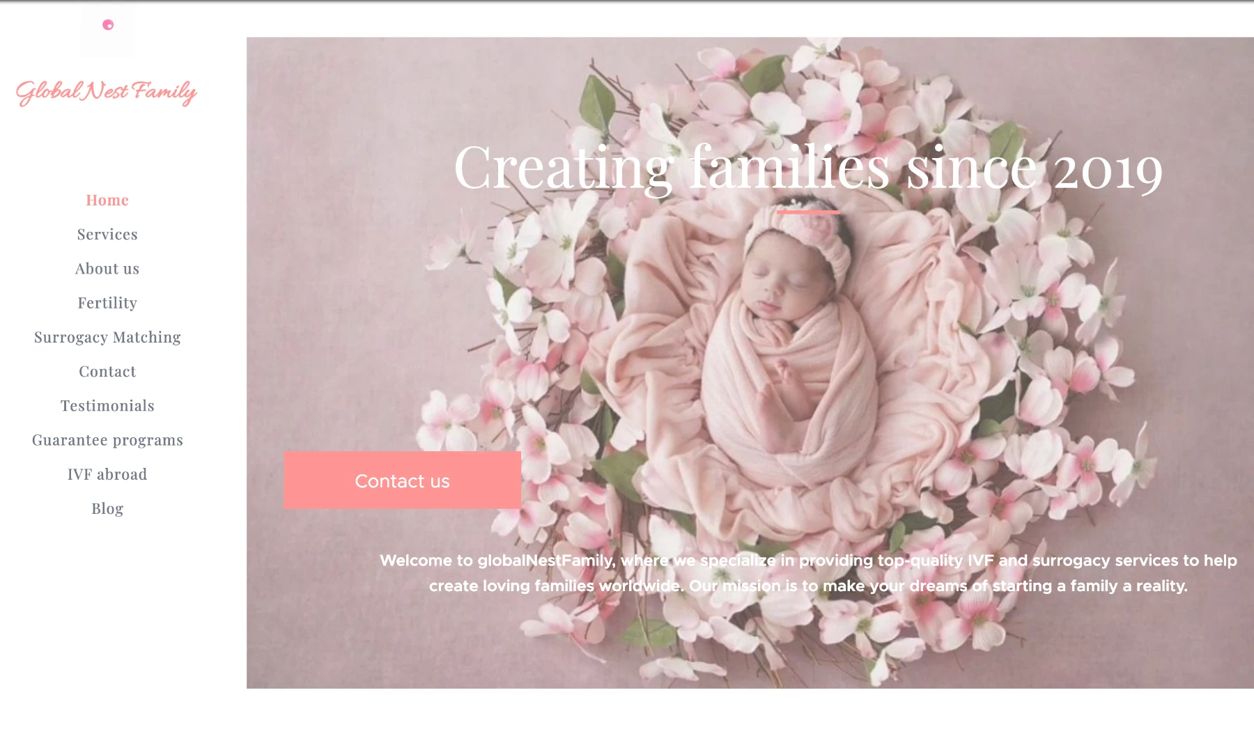 Legacy Global Nest Family homepage hero before the redesign.