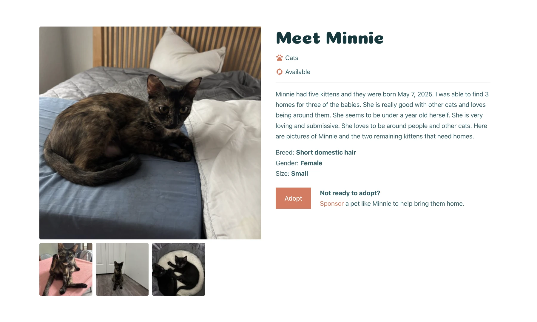 Motor City Pets single pet listing.