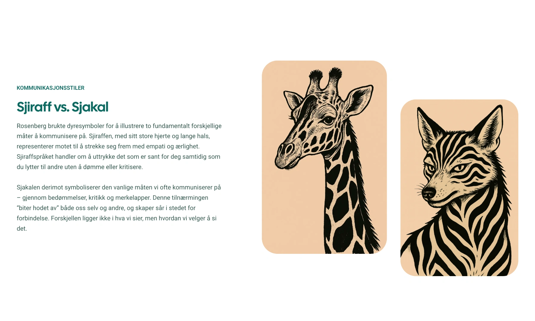 Sjiraff content section with supporting imagery.